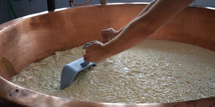 Scientists Explore the Microbiomes of Foods