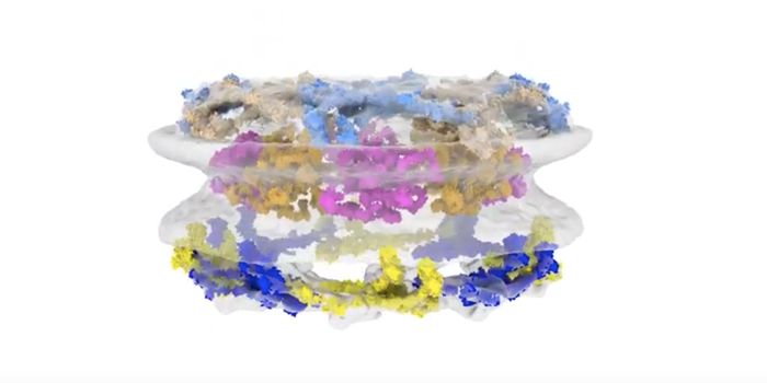 Cutting Edge Tools Change Our View of the Nuclear Pore Complex