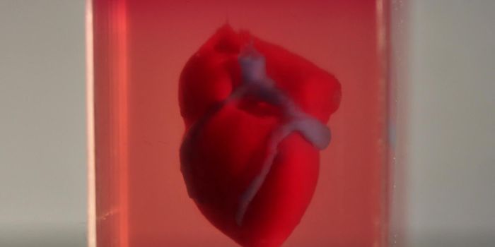 Researchers Use Patient Cells to 3D Print a Heart