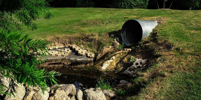 Human Waste Contributions to Global Pollution Exceed Expectations