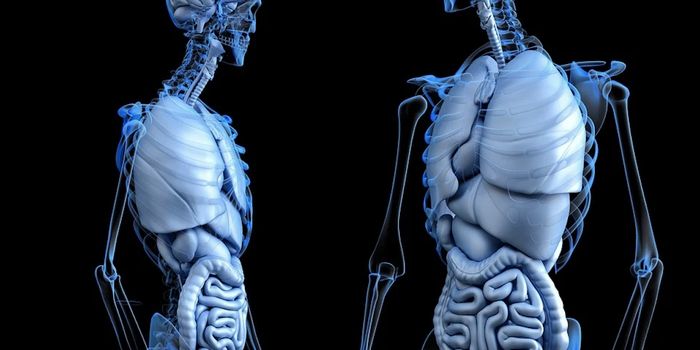 A Common Bacterium Can Evolve in the Stomach