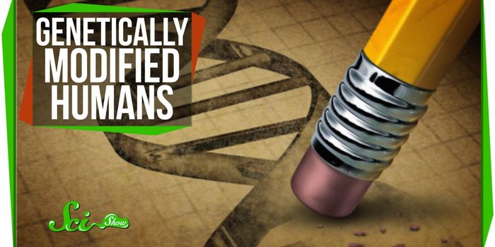 The Science Behind 'Genetically Modified Humans'
