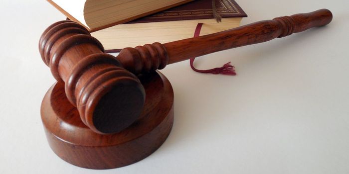 Obeying Orders Reduces Empathy-Related Brain Activity