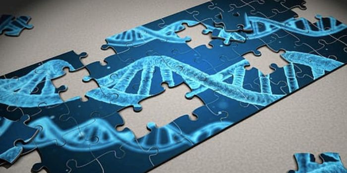 Disease-Causing Mutations in Sperm Can Arise During a Man's Lifetime