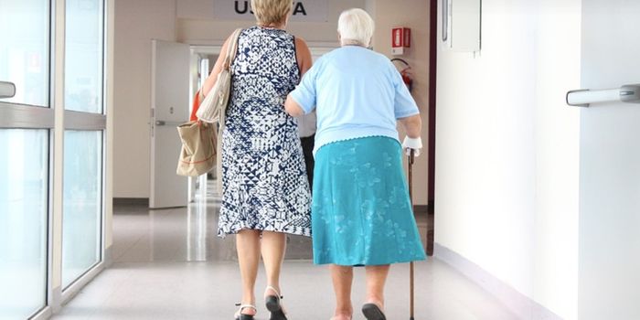 Does Taurine Deficiency Promote Aging?