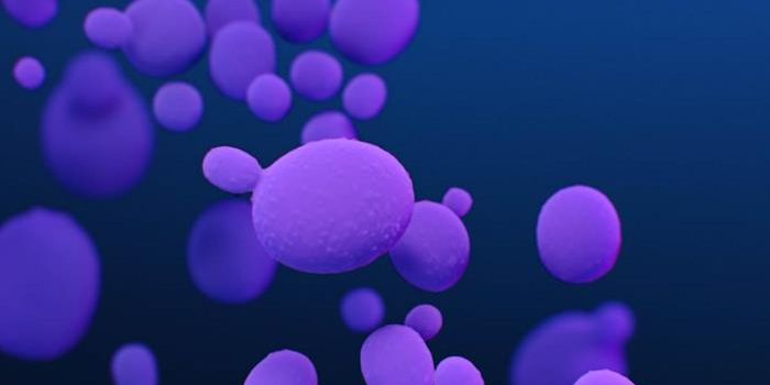 Finding a Weakness in an Emerging Drug-Resistant Pathogen