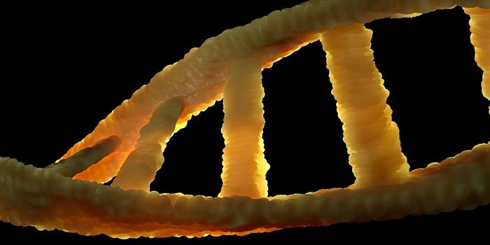 New Marker Identified on Tumors Improves Immunotherapy