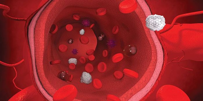 Menopause Symptoms Associated with Poor Vascular Health