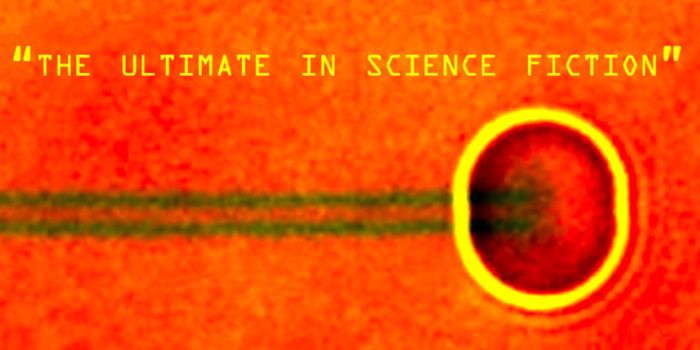 World's fastest DNA motor doesn't walk. It rolls