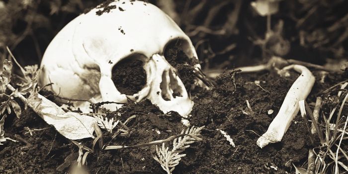 How Microbes Can Advance Forensic Science