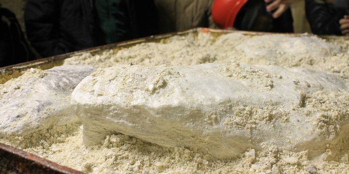 Major Study Does Not Find Strong Link Between Talcum Powder and Cancer