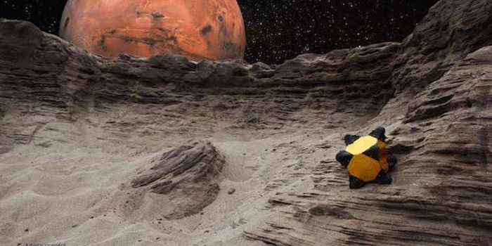 Hedgehog: Perfectly Designed For Microgravity Exploration, Part I