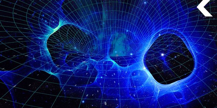 Can Dark Matter be Revealed by Black Holes and Gravitational Waves?