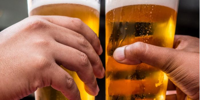 Light Drinking is Harmful to the Heart