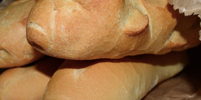 Gluten Intake May Cause Brain Inflammation
