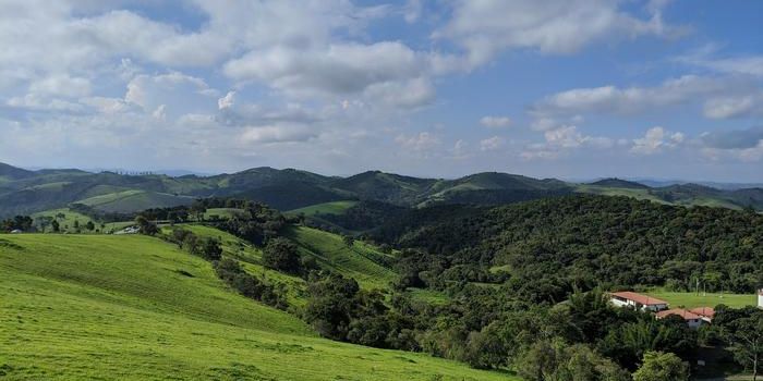 Two Approaches to Forest Expansion: Natural Regeneration vs. Planting