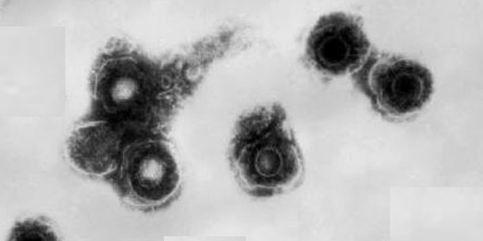 A Shingles-Promoting Protein is Discovered