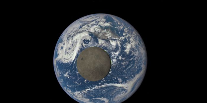 NASA's Deep Space Observatory Captures Rare Glimpse of the Dark Side of the Moon