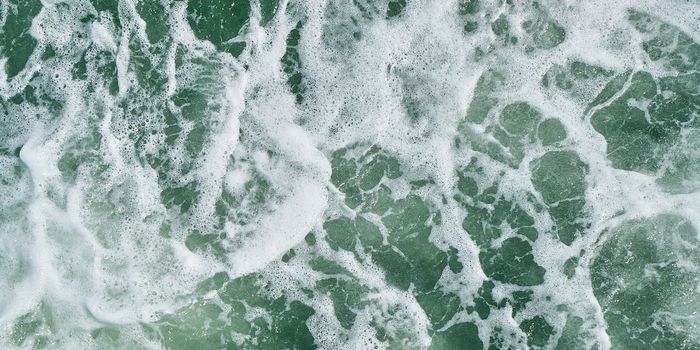 Climate Change Is Turning the Ocean Green