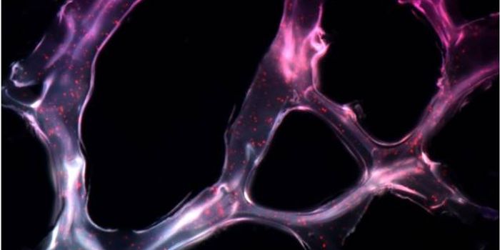 Triple microRNA Helix Shrinks Aggressive Tumors