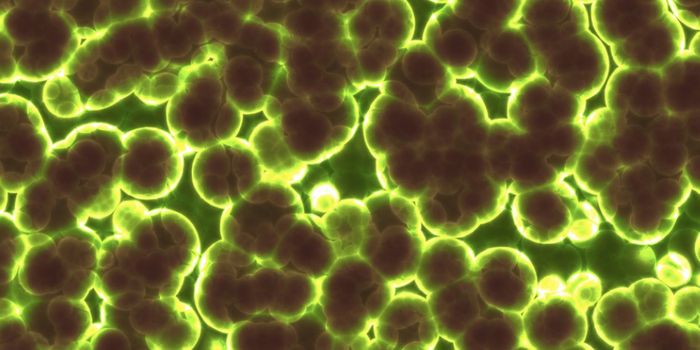 Mom's Microbiome Impacts Gene Expression in the Fetus