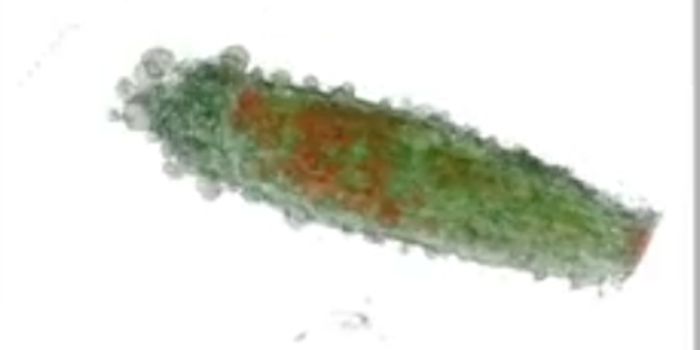 New Holotomography Microscope for Imaging Live Cells in 3D