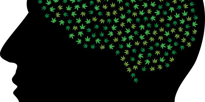 Brain-based Method of Cannabis Detection