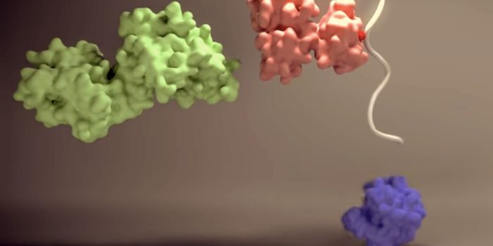 A New Way to Describe Enzyme Kinetics
