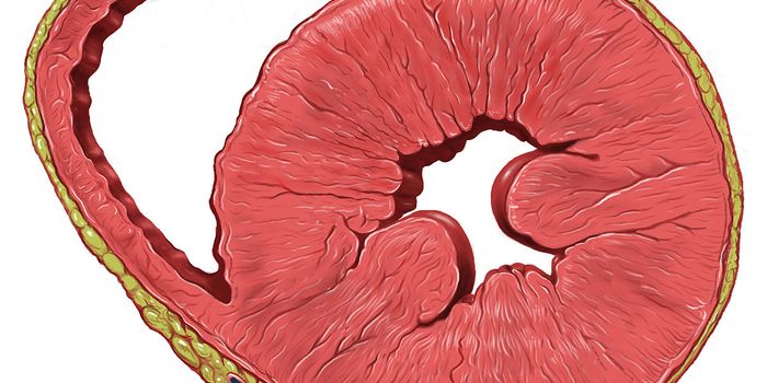 Childhood Asthma Linked to Heart Disease Later in Life