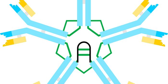 IgM Antibody Protects against HIV-1 Infection