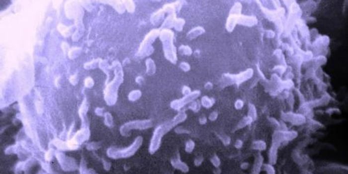 Neurons Controlling Appetite Made from Skin Cells