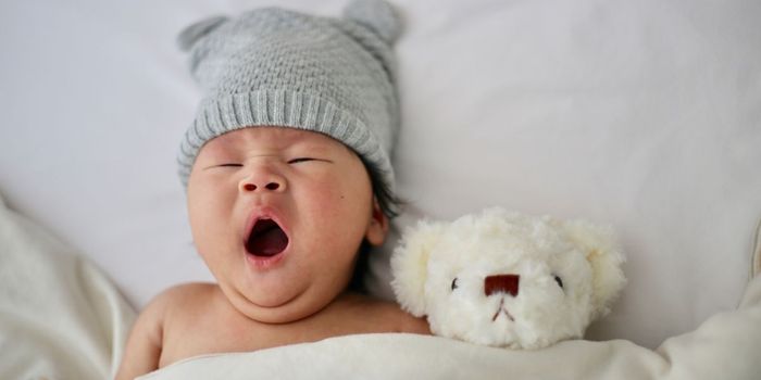 Early-life Stress and Pollution Lead to Cognitive Impairment