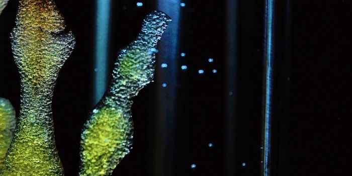 New Smart Sutures Can Detect Inflammation & Dispense Drugs