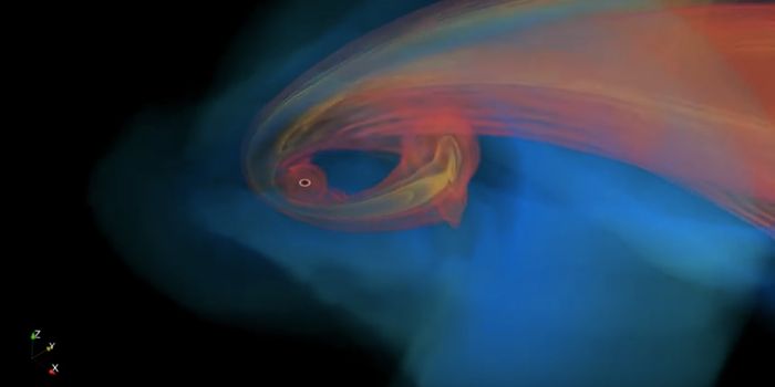 Understanding the Fate of Stars Consumed by Black Holes