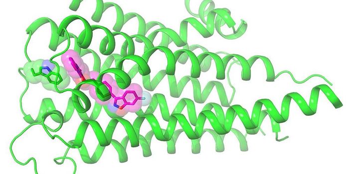 Getting to the Details of how Antipsychotic Drugs Work