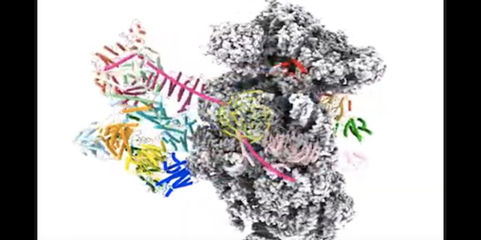 The Beginnings of a Protein Are Captured in 3D