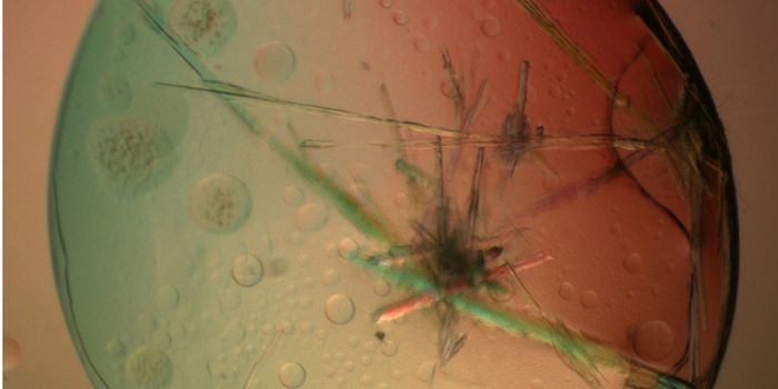 Studying Protein Droplets to Prevent Disease