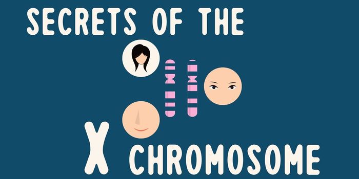 Genetically Speaking, Two X Chromosomes are Better than One