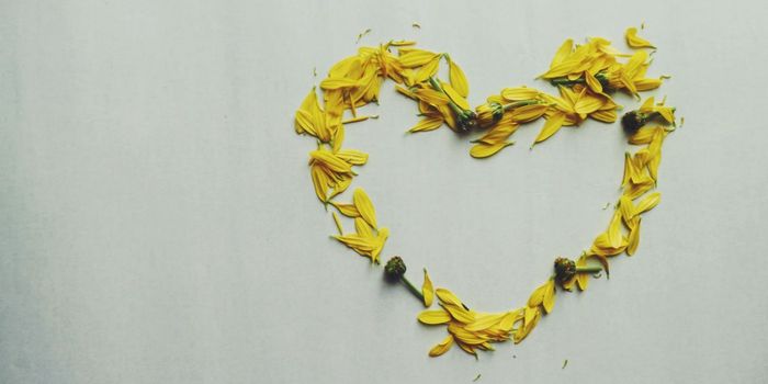 Multiple Heart-Related Conditions Triples Dementia Risk