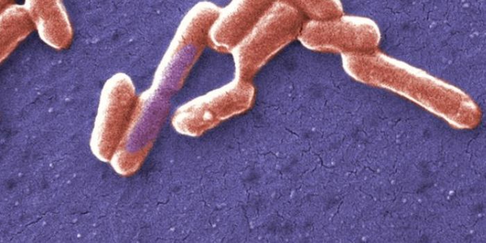 A New Bacterial Defense System is Discovered