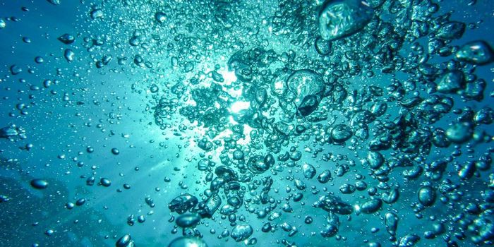 Scientists Find Liquid Water Inside Meteorite