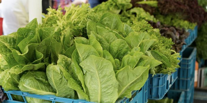 Gas-Generating Microbes Highlight the Diet - Microbiome Link