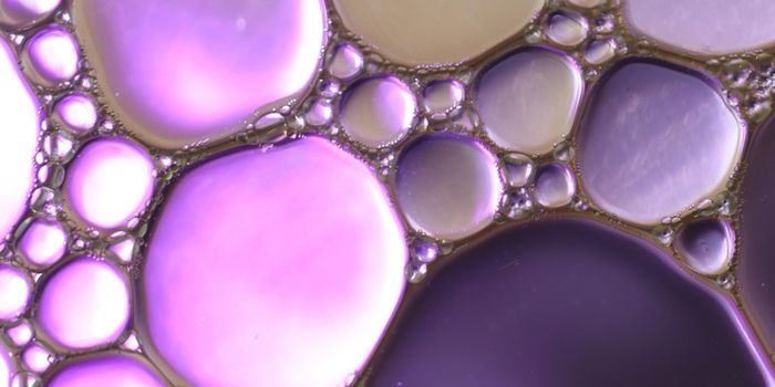 New Study Aims to Identify the Most Beneficial Gut Microbes