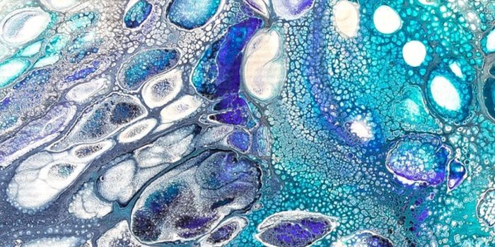 How Immunity is Shaped by Genetics and Life Experience