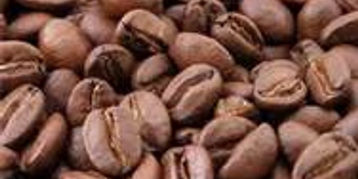 Better Memory Through Caffeine?