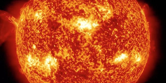 Sunscreen from microbes?