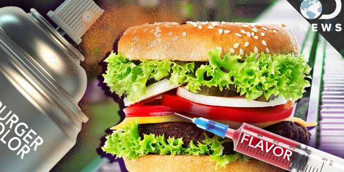Are Processed Foods Really Bad for You?