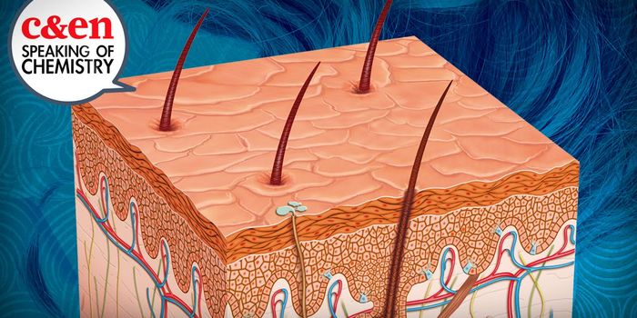 The Science Behind Hair Greying