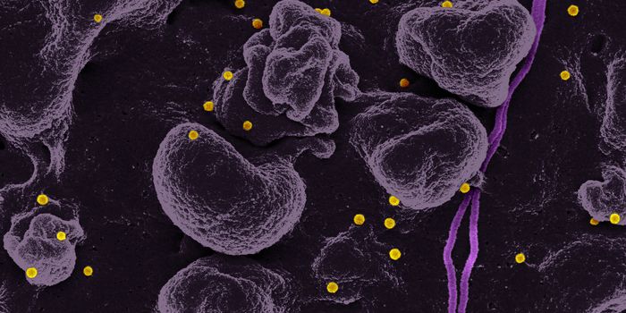 A 'Bispecific Antibody' to Fight Crimean-Congo Hemorrhagic Fever