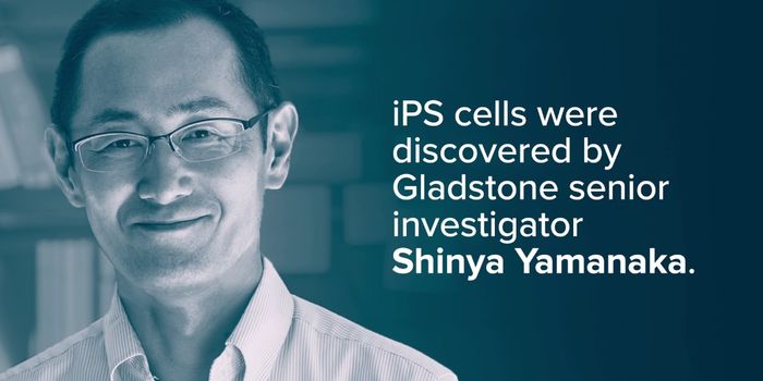 Creating Stem Cells for Research